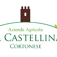 Azienda agricola La Castellina Cortonese