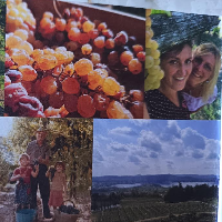 Azienda Agricola Pozzo