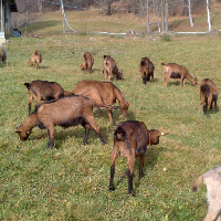 Az. Agricola Fazia Mario