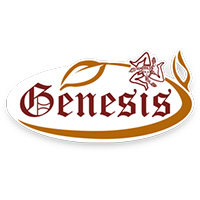 GENESIS DI GENESIO VINCENZO