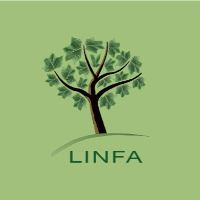 Detergenti Naturali LINFA