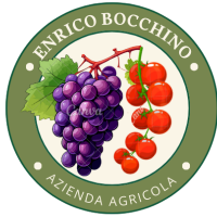 Azienda Agricola Enrico Bocchino