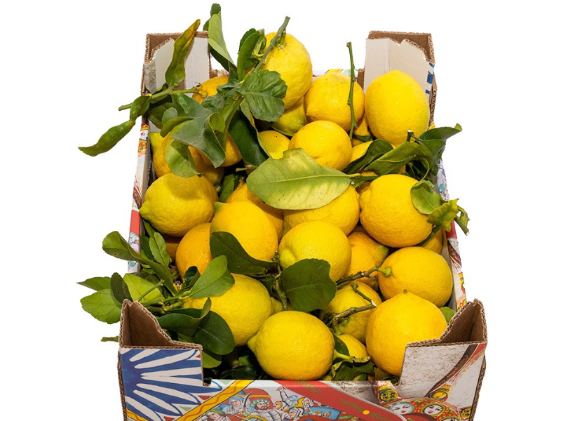 Limoni di Sicilia