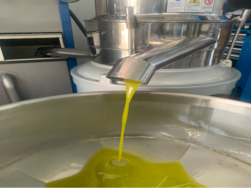 Olio biologico extravergine d'oliva anno 2022