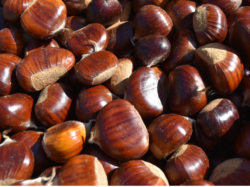 CASTAGNE FRESCHE