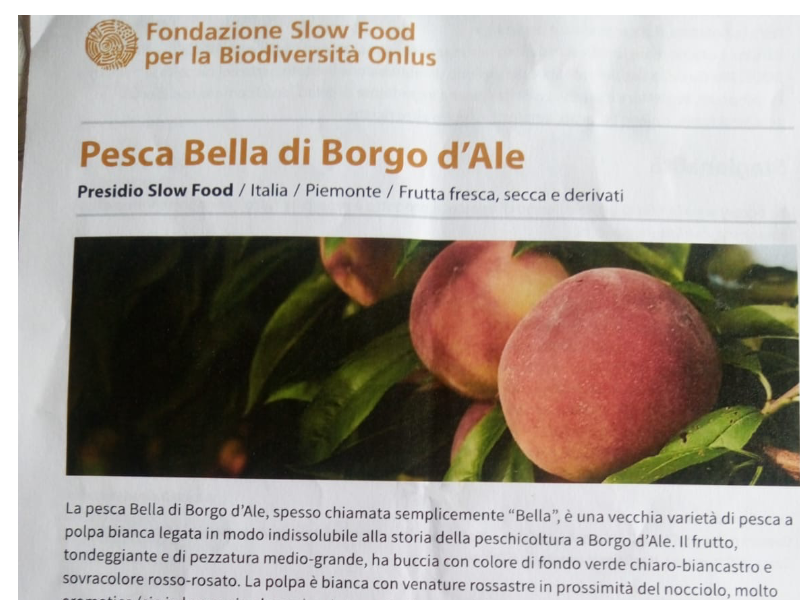 Pesca Bella dí Borgo d’Ale