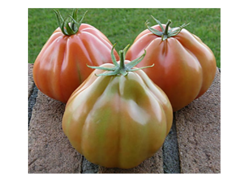Pomodori Cuore di Bue 1 kg