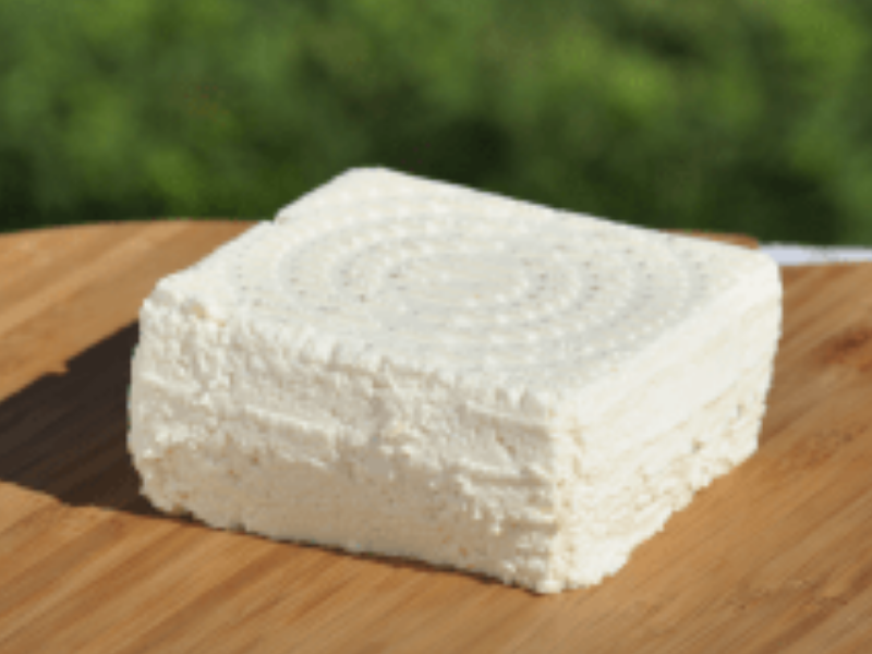 RICOTTA