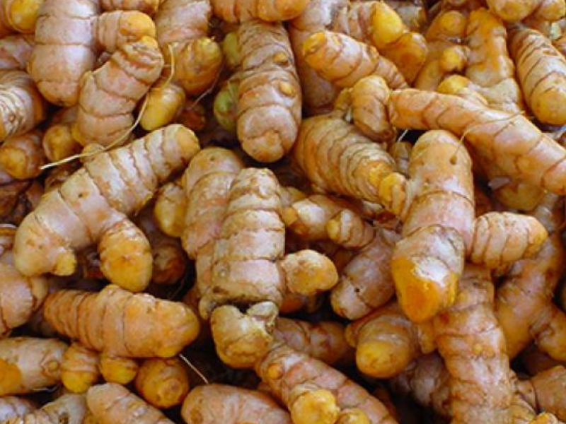 CURCUMA