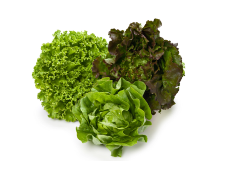 Insalatina fresca (3 cespi)