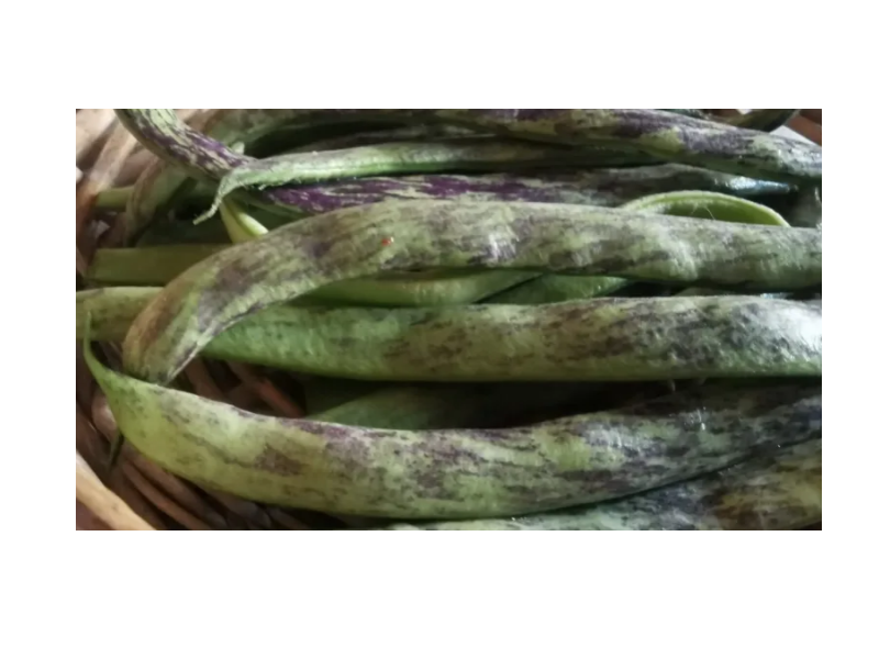 Fagiolini Pelandroni di Albenga 500 g