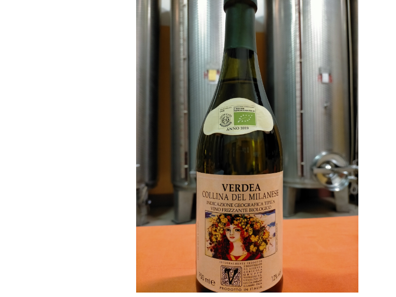 Vino bianco VERDEA frizzante