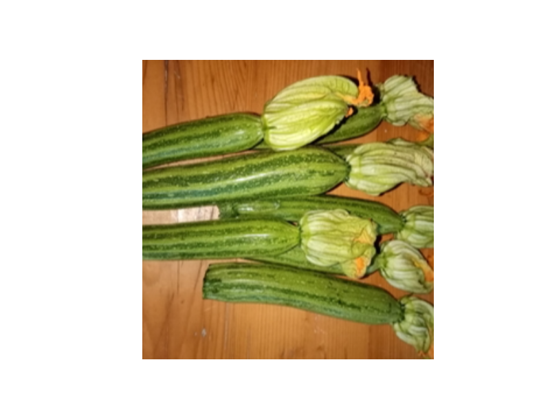 Zucchine 1 kg