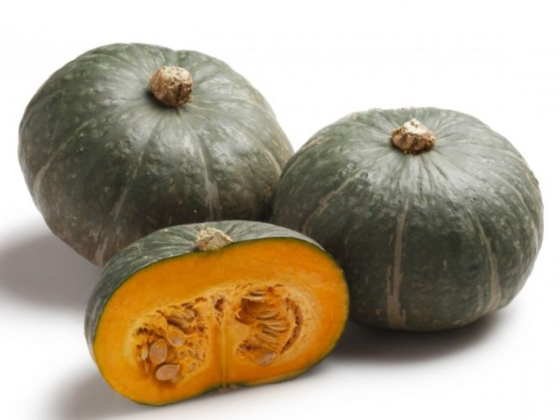 ZUCCA DELICA