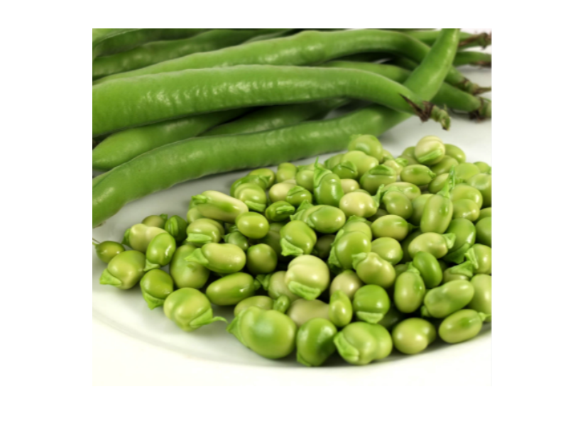 Fave Fresche di Albenga 1 kg