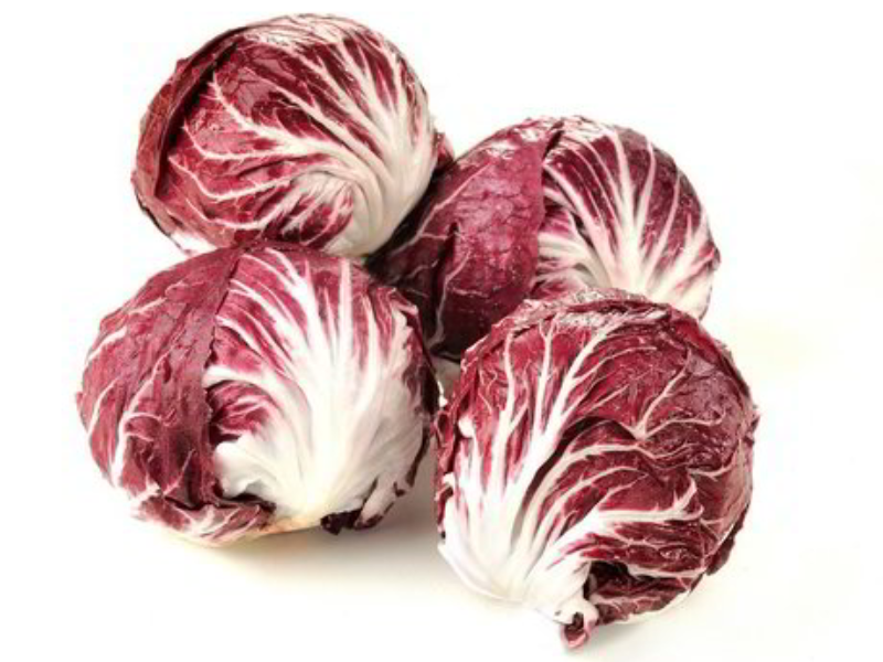 RADICCHIO  ROSSO  tondo