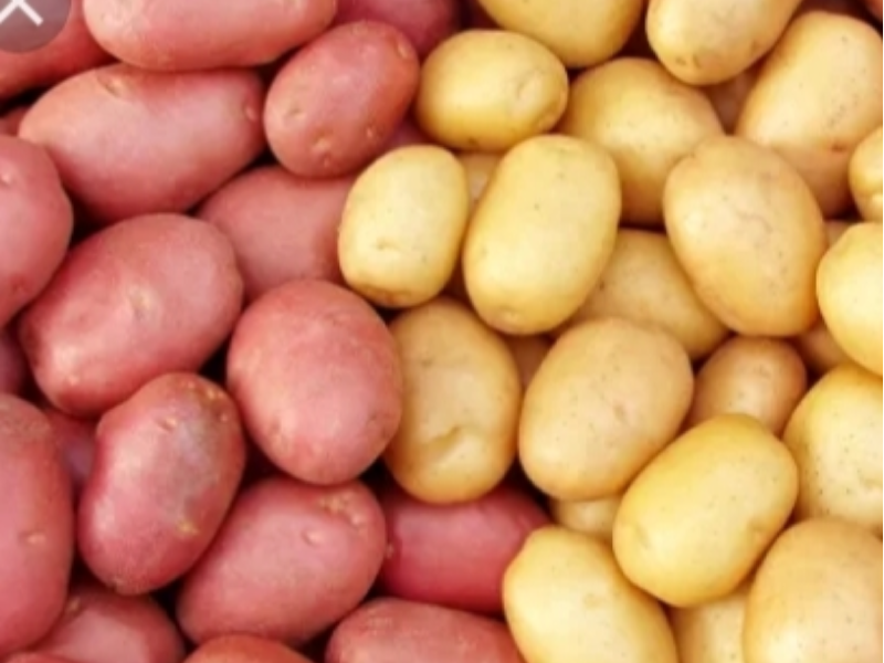 patate gialle e rosse pasta gialla