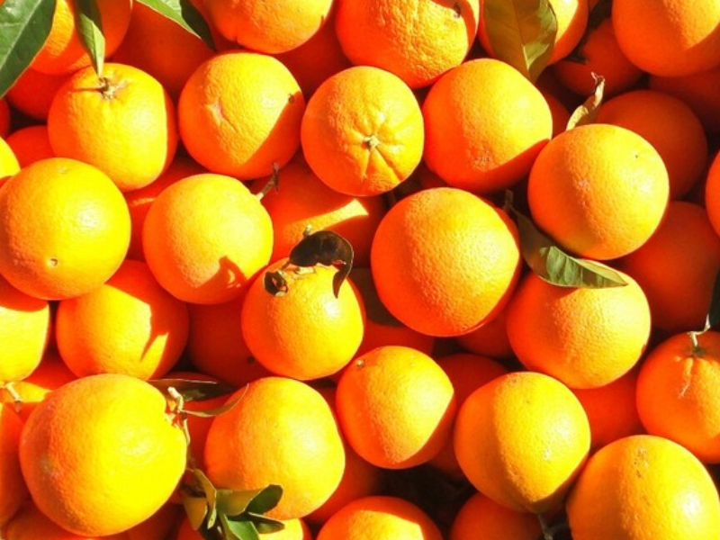 ARANCE BIONDE DI SICILIA DA SPREMUTA ARANCE BIONDE DI SICILIA DA SPREMUTA