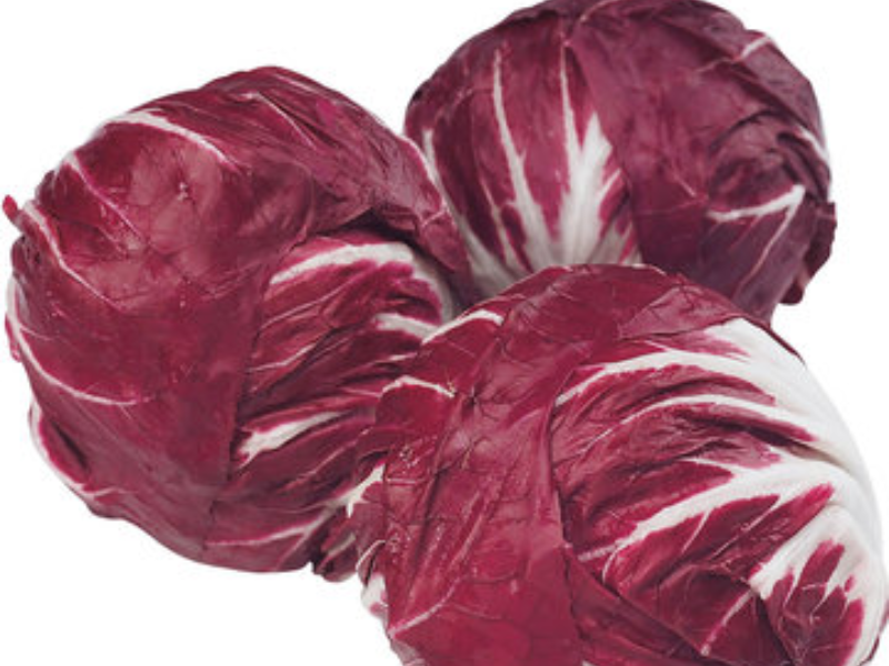 RADICCHIO TONDO