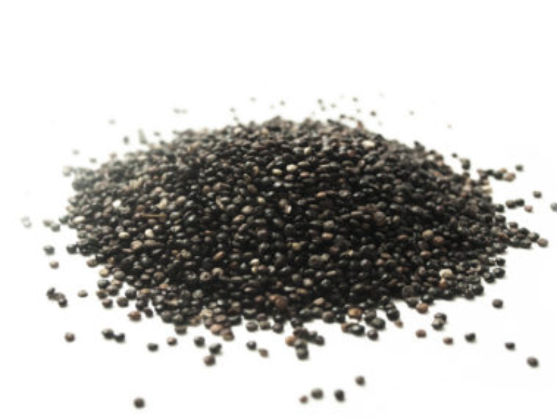 Semi di quinoa nera