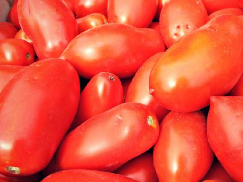 POMODORI DA SUGO