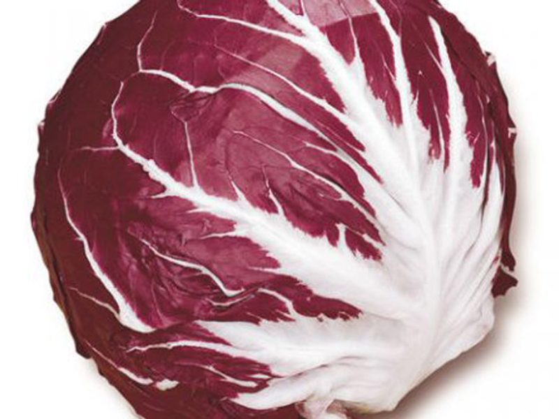 Radicchio Rosso a Palla