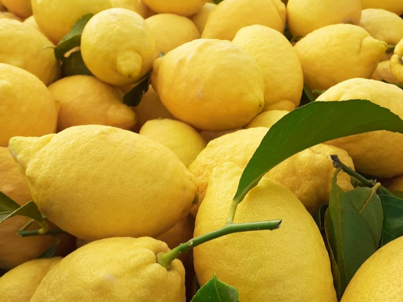 Limoni