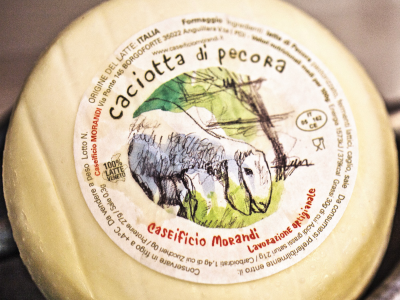 CACIOTTA DI PECORA