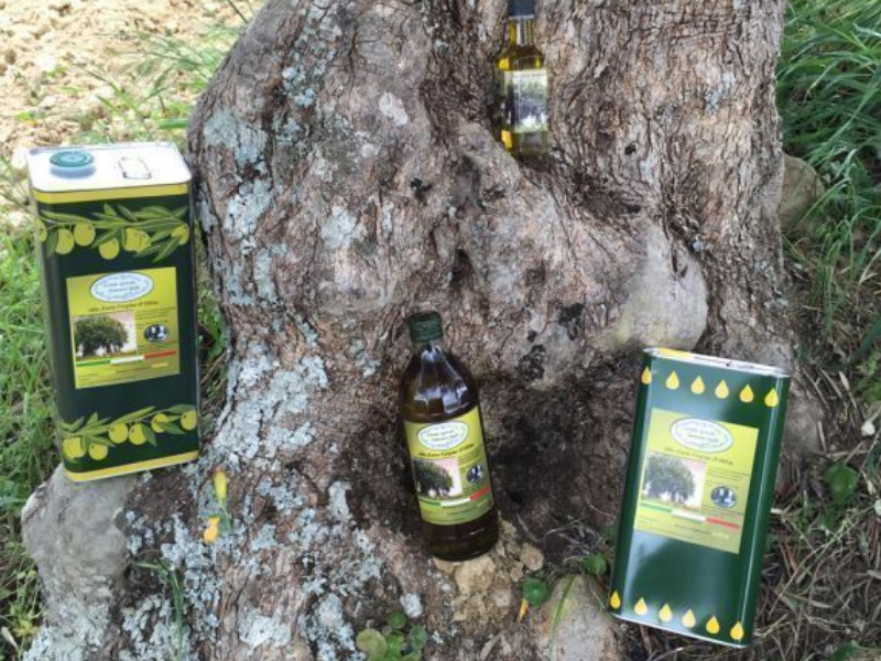 Olio extra vergine, azienda olivicola Baffa