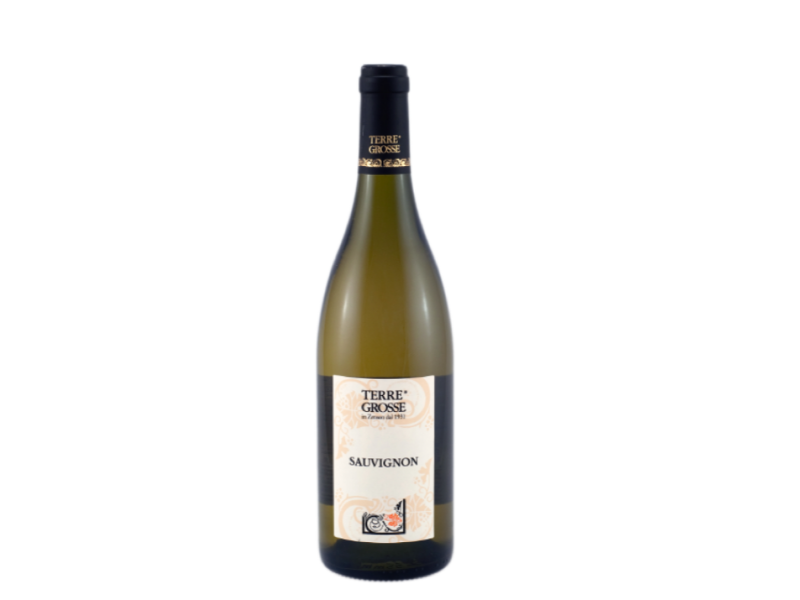 Sauvignon Veneto IGT