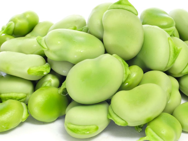 Fava fresca