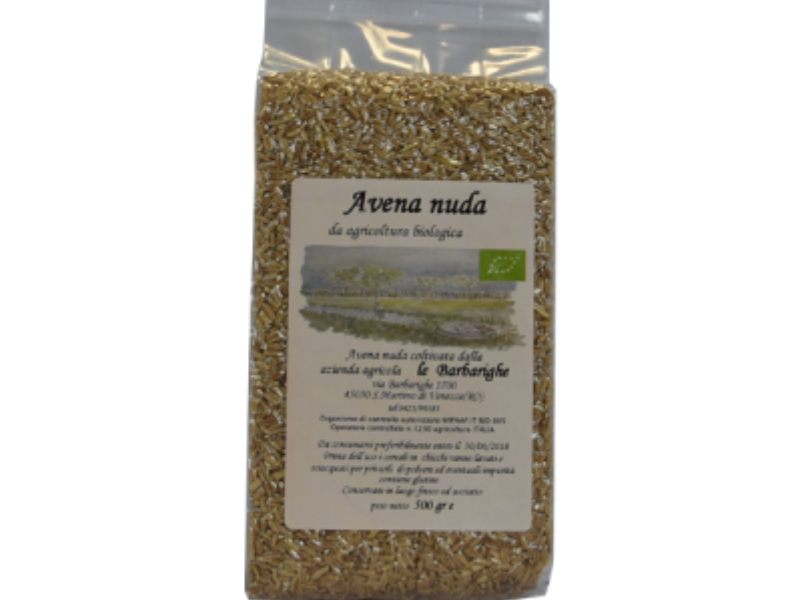 AVENA NUDA