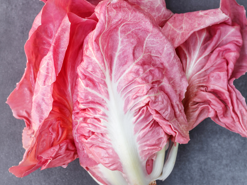 RADICCHIO  ROSA