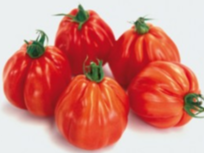 Pomodori cuore di bue