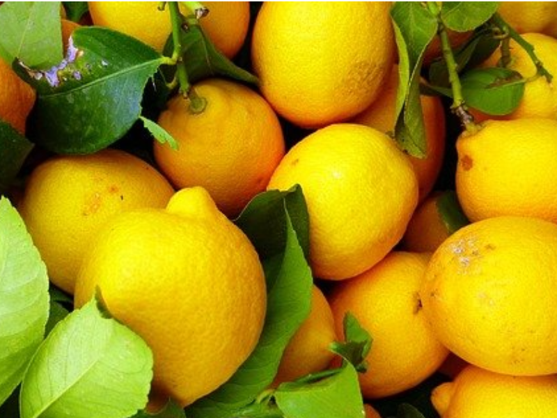 Limone Zagara Bianca Biologico Limone Zagara Bianca Biologico