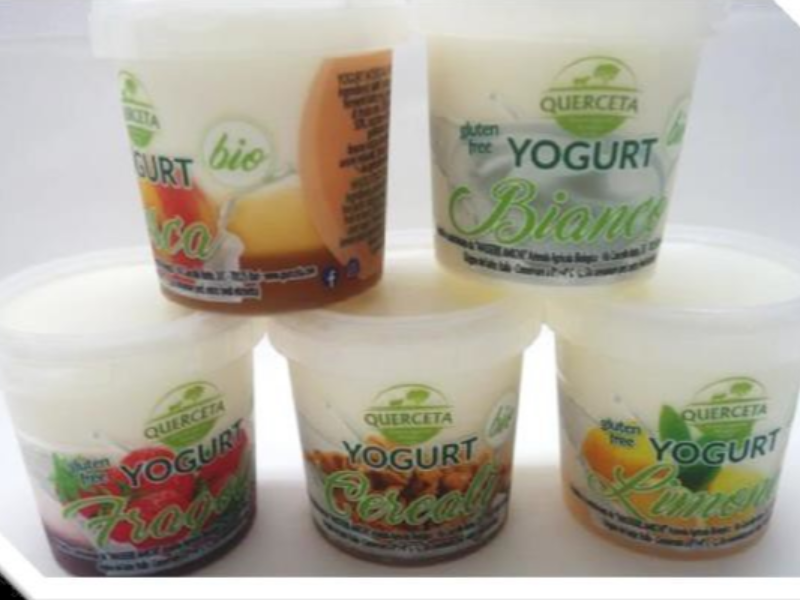 Yogurt