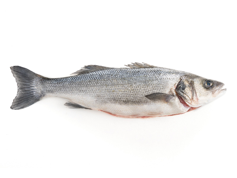 BRANZINO