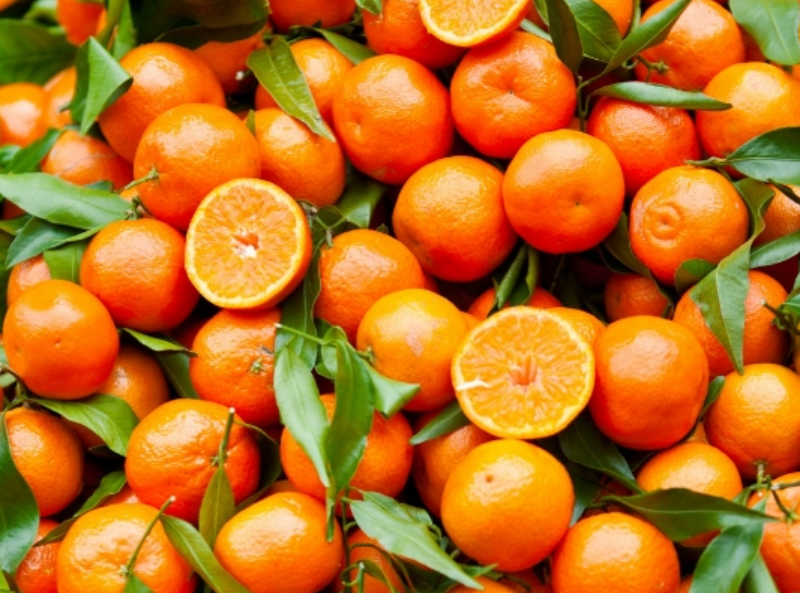 ARANCE BIONDE DI SICILIA ARANCE BIONDE DI SICILIA