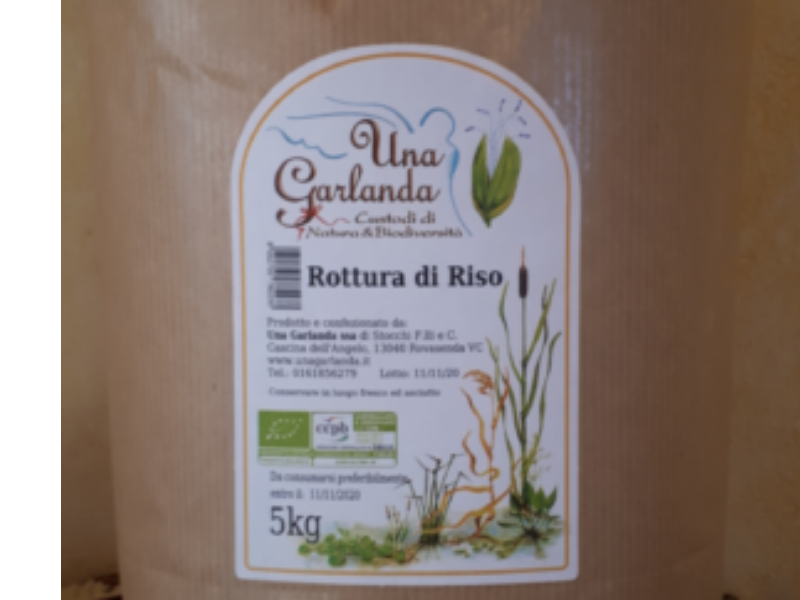 ROTTURA DI RISO