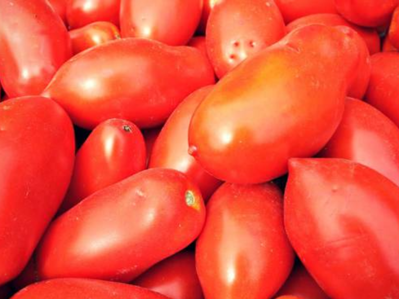 POMODORI DA SUGO