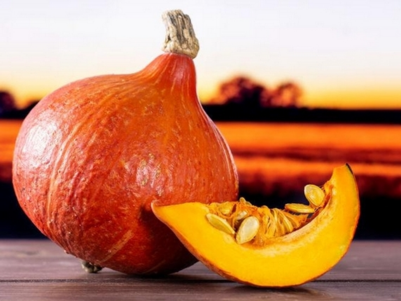 zucca hokaido