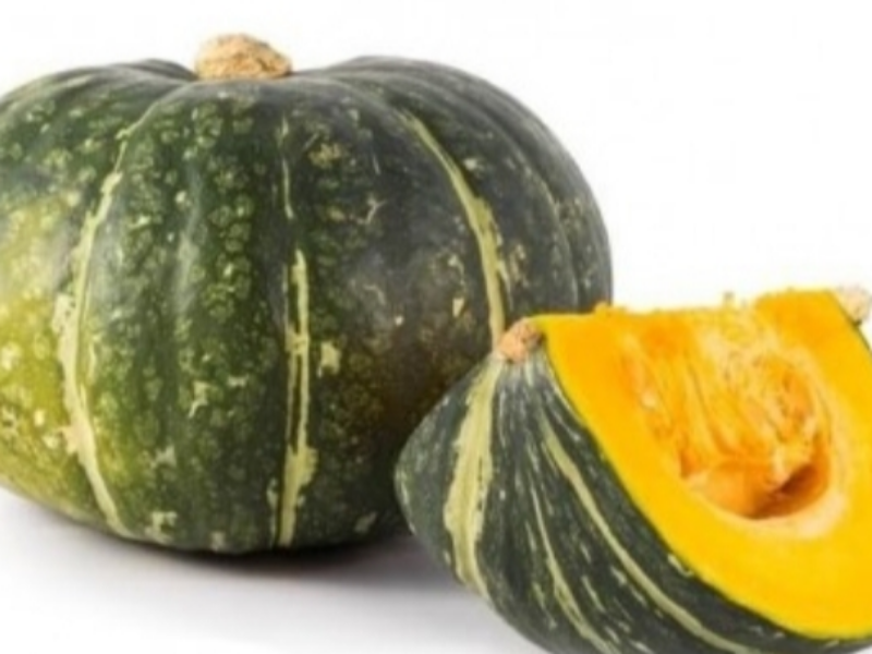 zucca iron cup 2kg circa  a pezzo