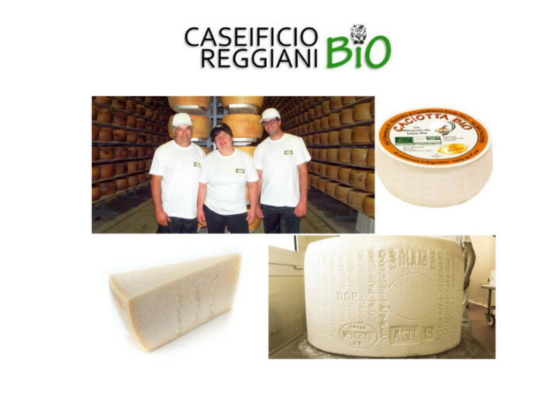 PARMIGIANO REGGIANO BIO