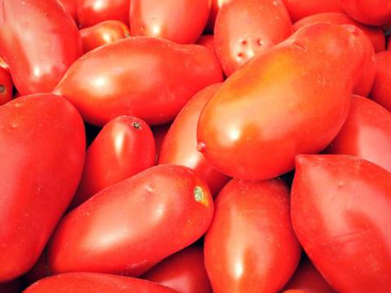 POMODORI DA SUGO