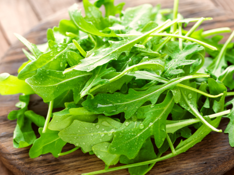 Rucola