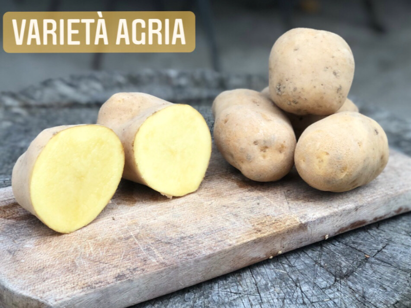 Patate varietà agria  spedizione inclusa in tutta Italia