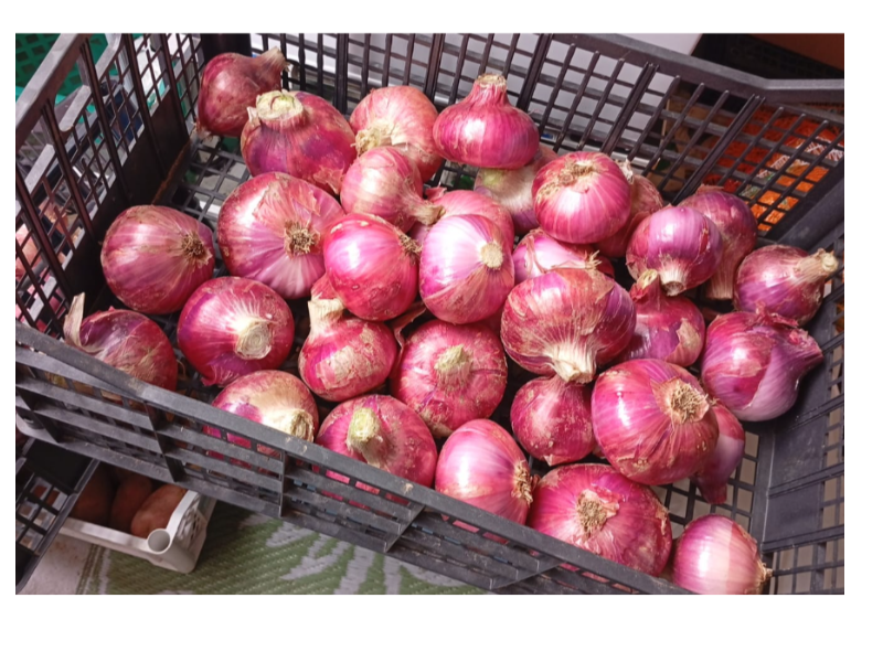 Cipolle Rosse (Savona e Tropea) 1 kg